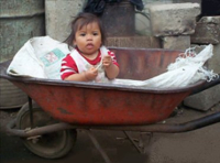 Wheel Barrow w/Tools